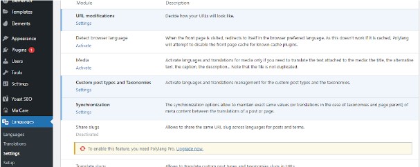 Cara Membuat Website Multi Bahasa - languages>settings